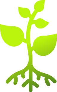 Eco-Friendly